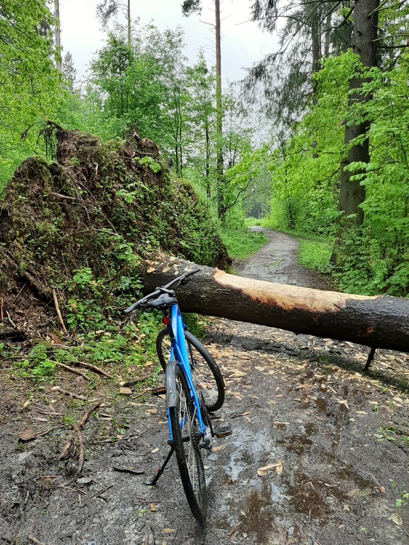 undefined, отзывы покупателей, фото 1