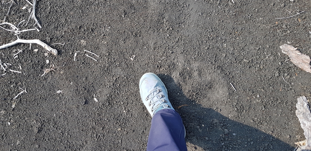 undefined, отзывы покупателей, фото 2