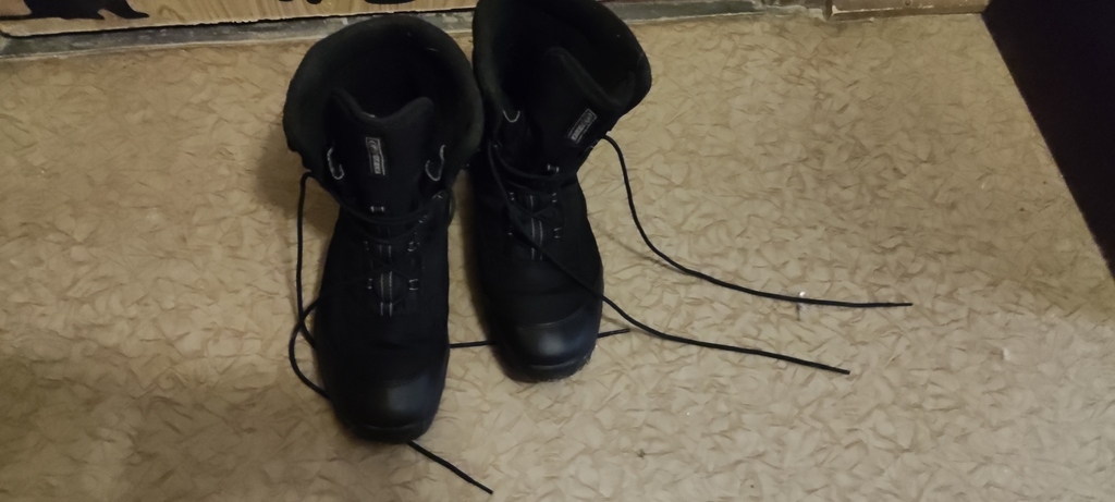 Ботинки утепленные мужские Tecnica Ride II Gtx® Ms, отзывы покупателей, фото 1