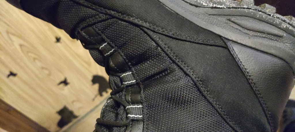 Ботинки утепленные мужские Tecnica Ride II Gtx® Ms, отзывы покупателей, фото 5