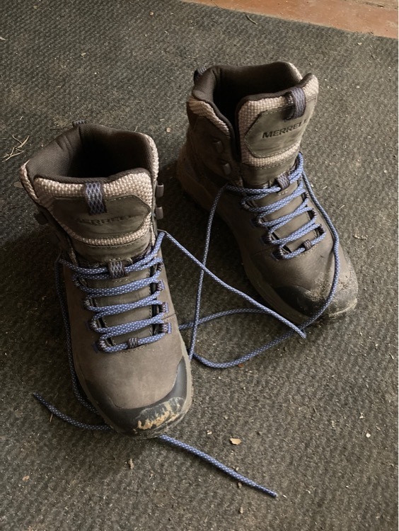 undefined, отзывы покупателей, фото 1