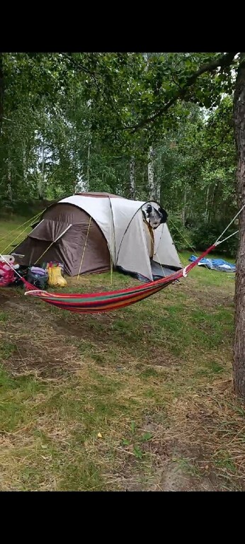 Палатка 6-местная Outventure Dalen 6, отзывы покупателей, фото 4