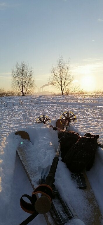 Ботинки для беговых лыж Fischer BCX 5 Back Country, отзывы покупателей, фото 1