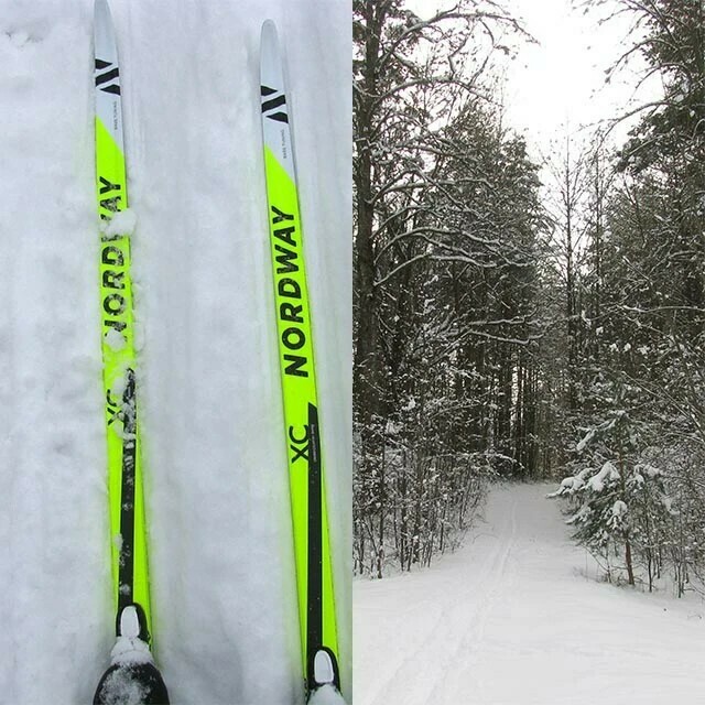 Беговые лыжи Nordway Classic, отзывы покупателей, фото 1