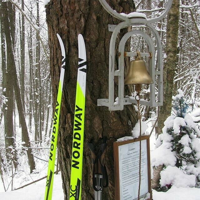 Беговые лыжи Nordway Classic, отзывы покупателей, фото 2
