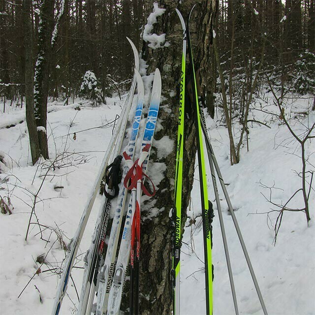 Беговые лыжи Nordway Classic, отзывы покупателей, фото 3
