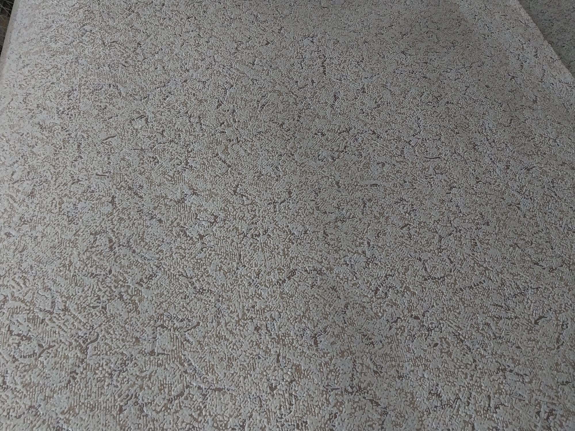 20230305_095914.jpg
