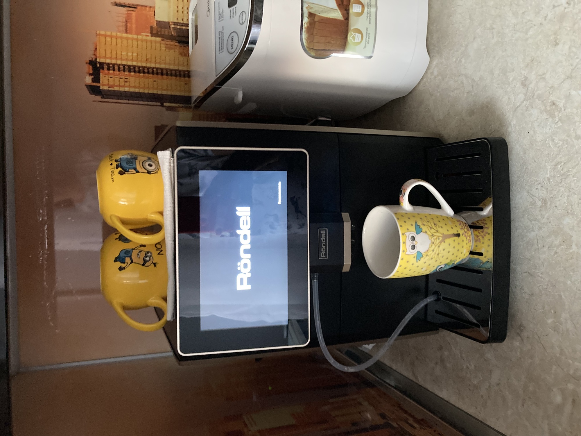 IMG_1724.jpeg