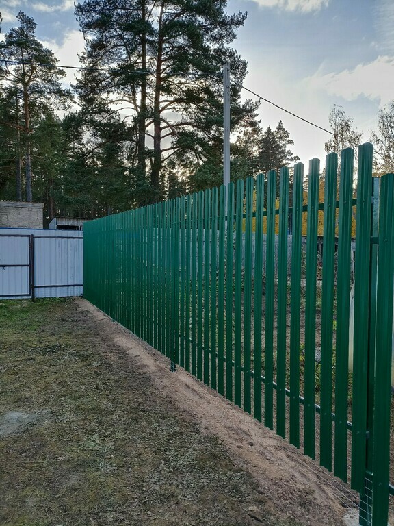 Евроштакетник двухсторонний М-образный 0,45 мм 100х2000 мм зеленый RAL ...