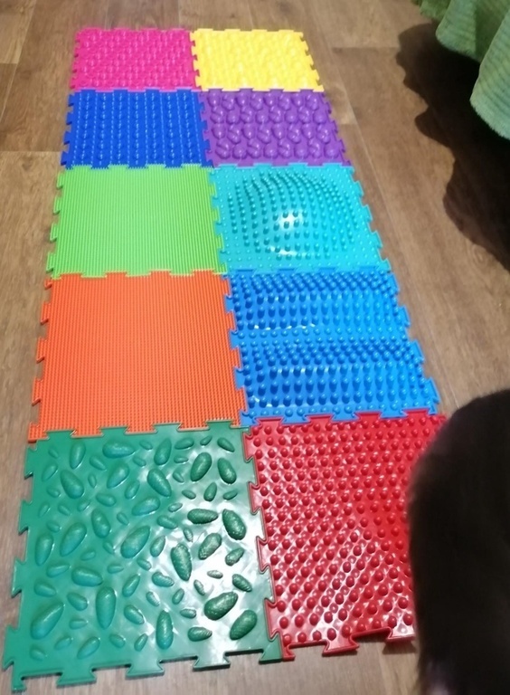 https://media.apltcdn.com/media_files/6558/183b/9fd0/5a00/0146/05cf/large.jpg?1700272186