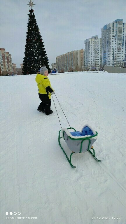 Санки Nika, отзывы покупателей, фото 1