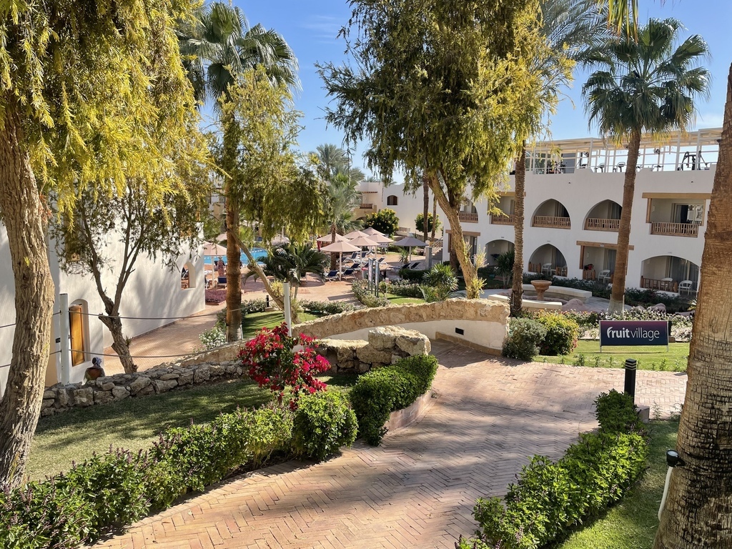 Отель Pickalbatros Royal Grand Sharm (Adult Only), Хадаба: забронировать  тур в отель, фото, описание, рейтинг