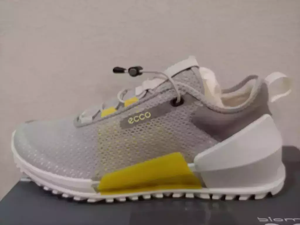 ECCO BIOM 2.0 W