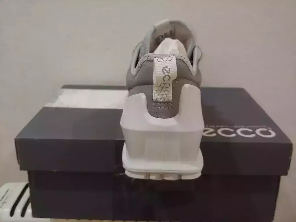 ECCO BIOM 2.0 W