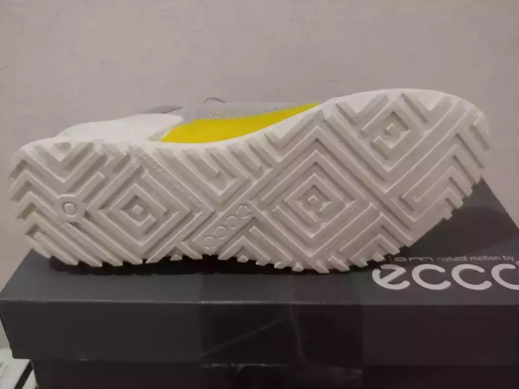 ECCO BIOM 2.0 W