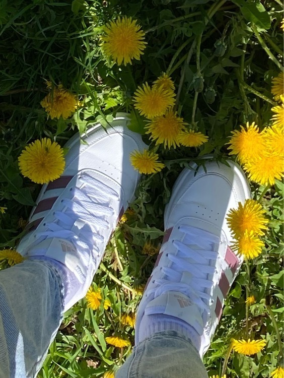 Кеды женские adidas Breaknet 2.0, отзывы покупателей, фото 5