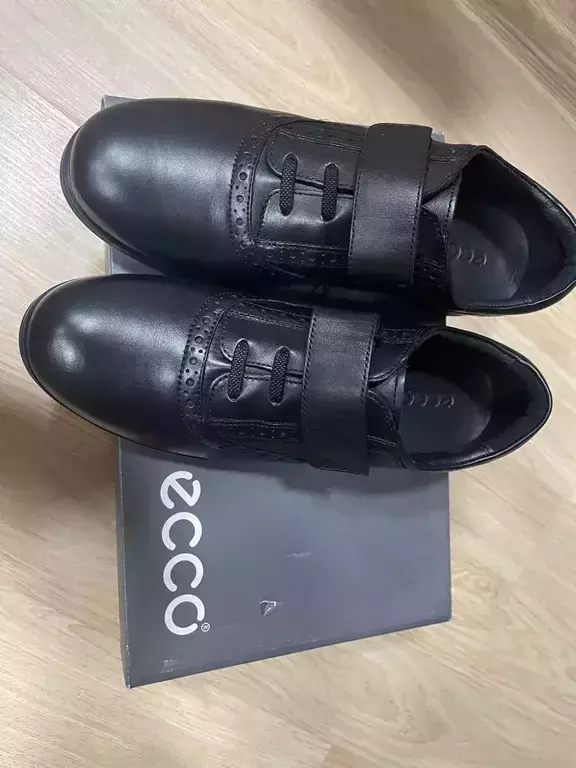 ECCO SCHOLAR