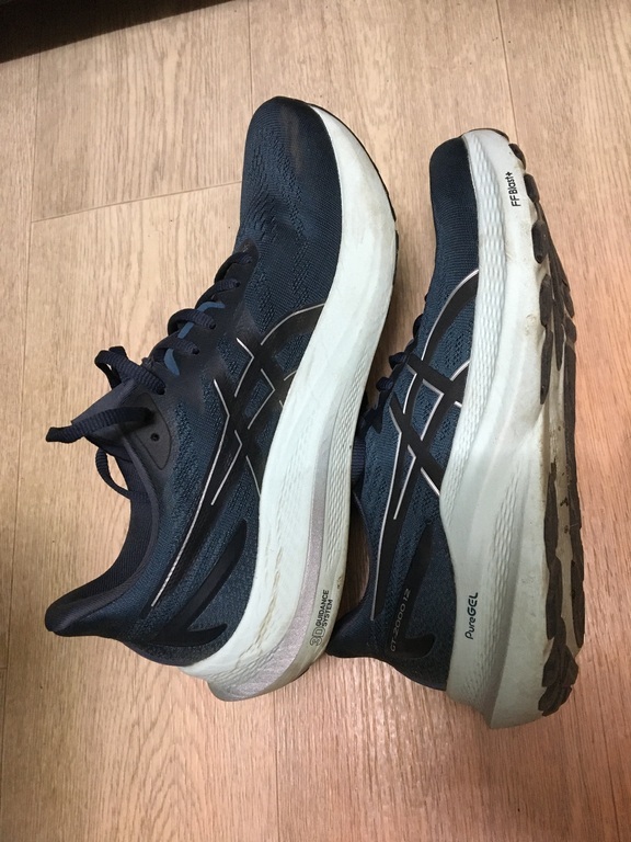 Кроссовки женские ASICS GT-2000 12, отзывы покупателей, фото 1