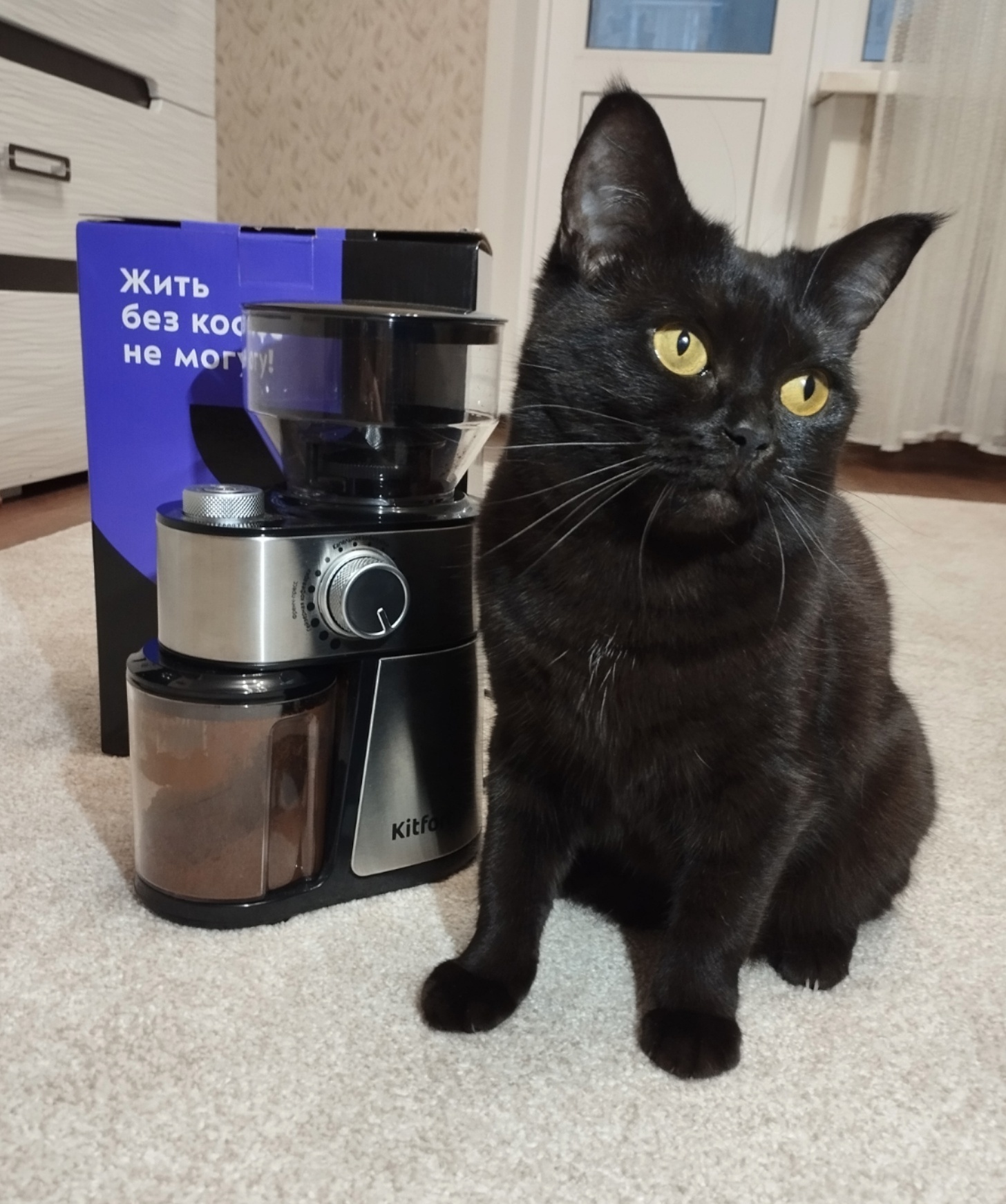 uqR8oMrL6PQ.jpg