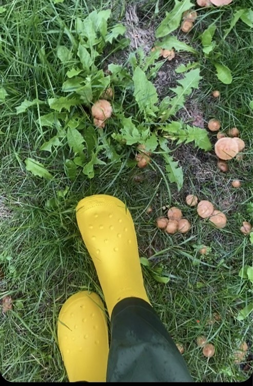 undefined, отзывы покупателей, фото 1