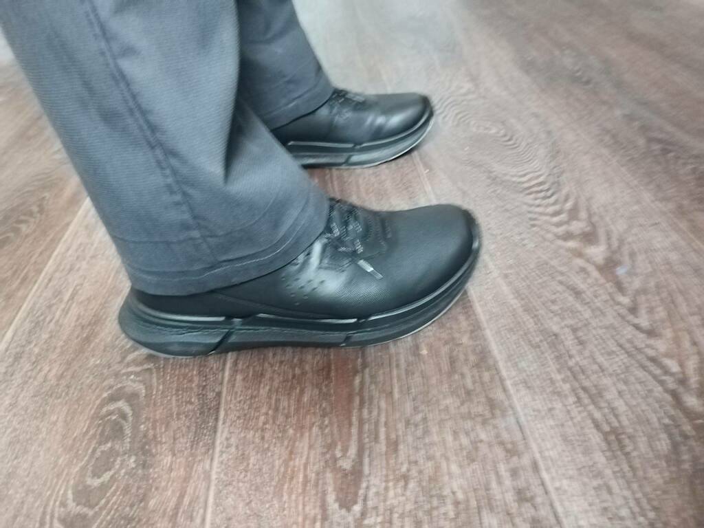 ECCO BIOM 2.2 M