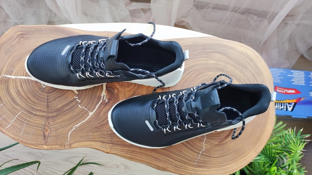 ECCO BIOM 2.0 W ECCO BIOM 2.0 W