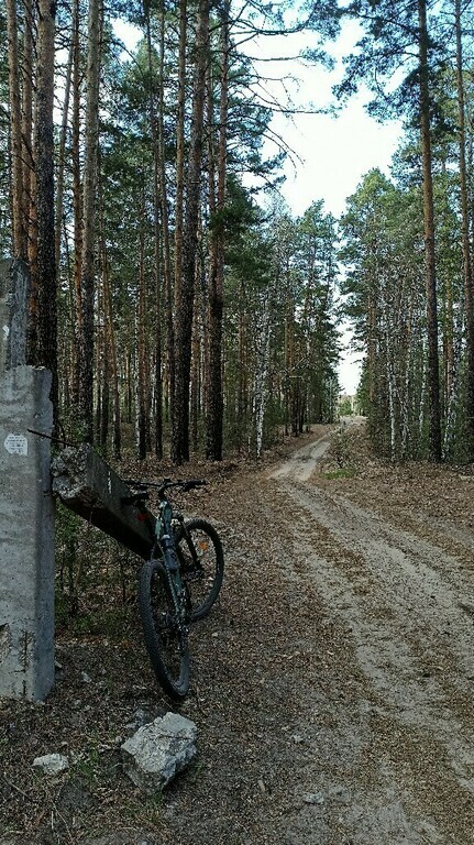 undefined, отзывы покупателей, фото 1