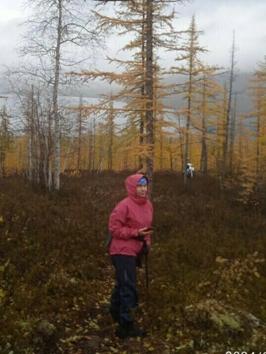 undefined, отзывы покупателей, фото 1