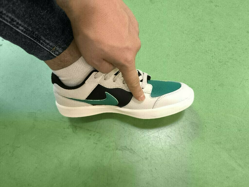 Кеды мужские Nike Sb Force 58 Premium, отзывы покупателей, фото 1