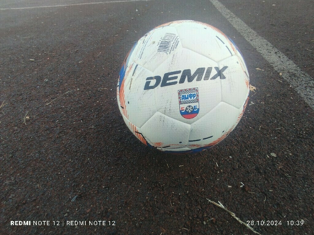 Мяч футбольный Demix DF600 Sala, отзывы покупателей, фото 1