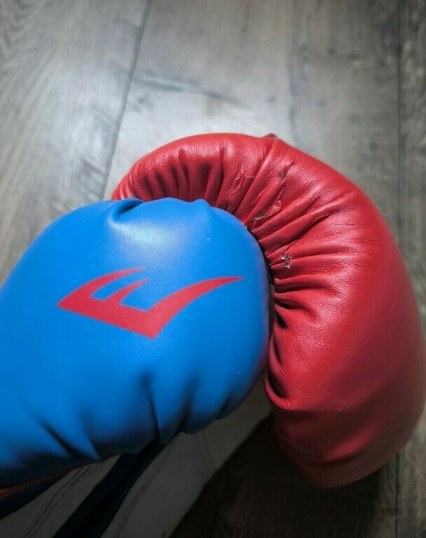 Перчатки боксерские Everlast Powerlock, отзывы покупателей, фото 1
