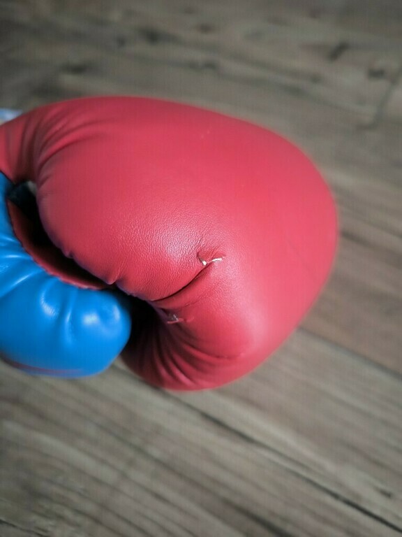 Перчатки боксерские Everlast Powerlock, отзывы покупателей, фото 4