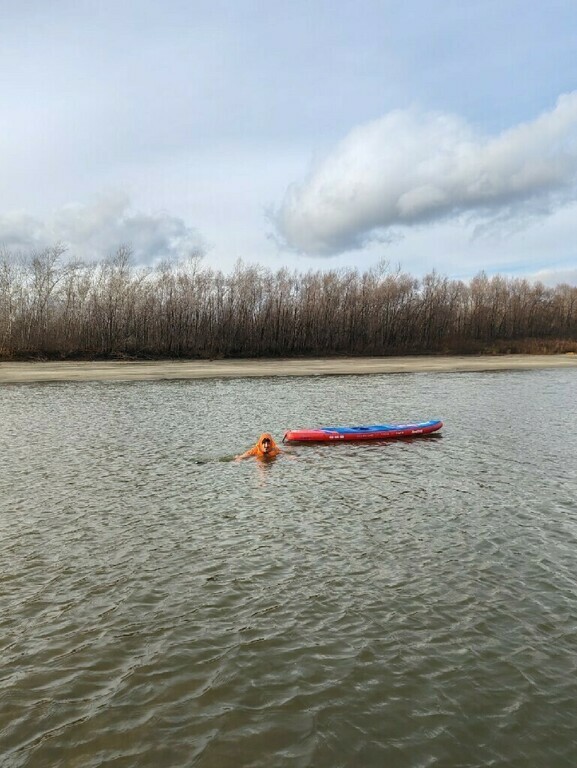 undefined, отзывы покупателей, фото 1