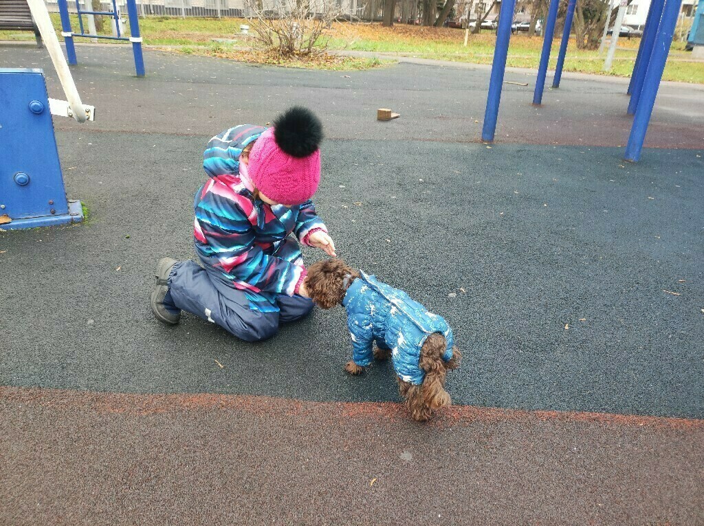 undefined, отзывы покупателей, фото 1
