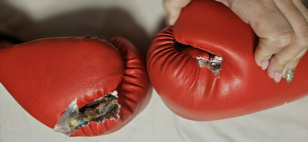 Перчатки тренировочные Everlast PU Pro Style, отзывы покупателей, фото 1