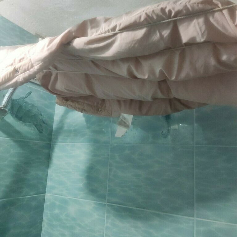 undefined, отзывы покупателей, фото 1