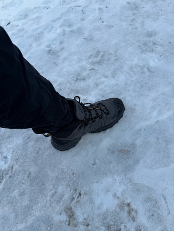Ботинки мужские Salomon X Ultra 360 Ltr Mid GTX, отзывы покупателей, фото 2