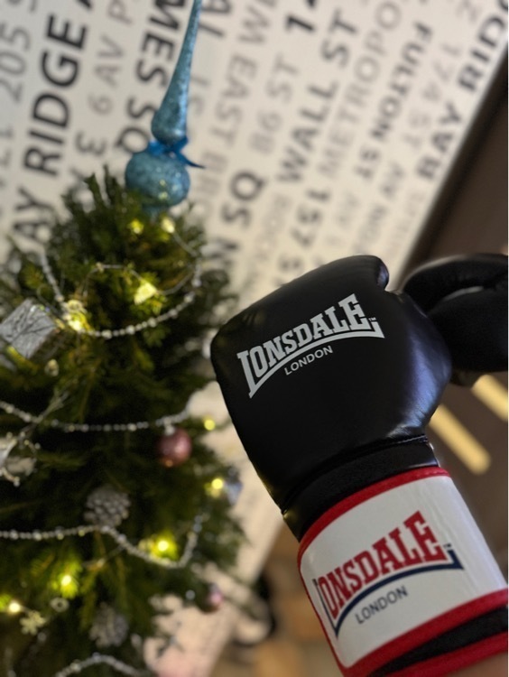 Перчатки боксерские Lonsdale Winestone, отзывы покупателей, фото 1