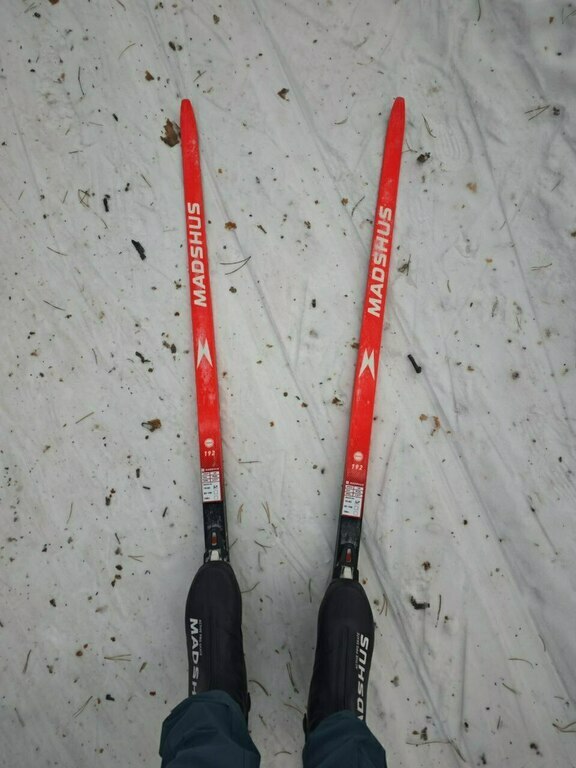 Ботинки для беговых лыж Madshus Active Pro Skate NNN, отзывы покупателей, фото 2