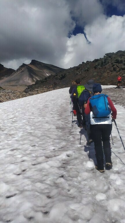 Палки треккинговые Outventure, отзывы покупателей, фото 5