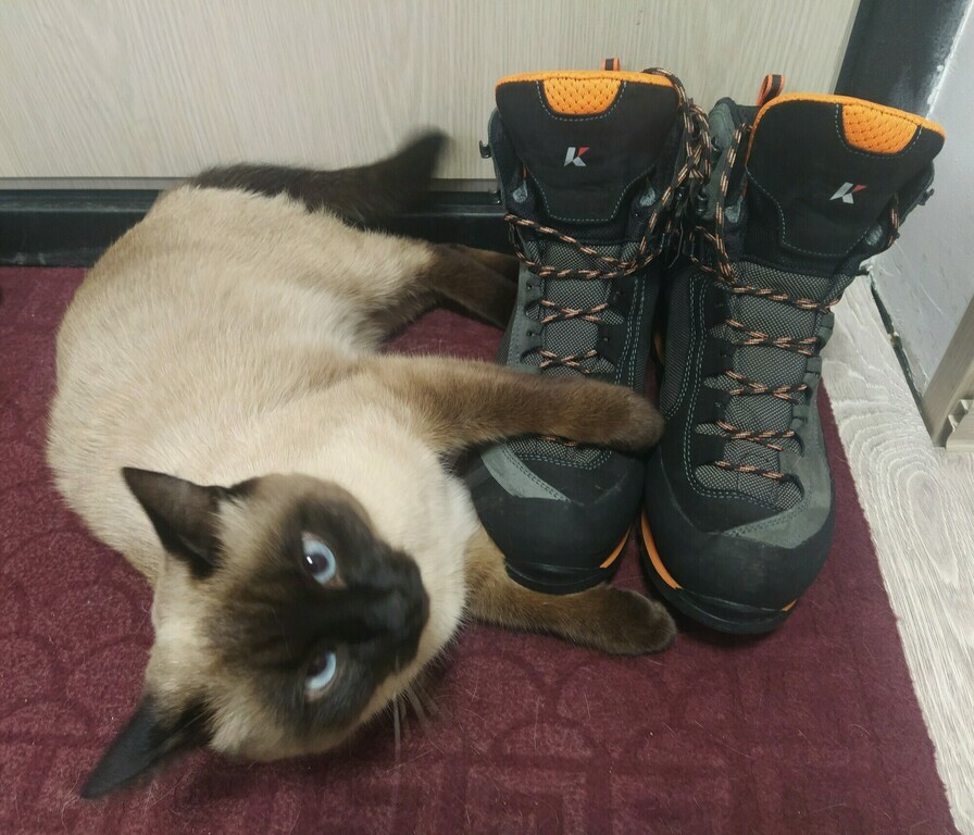 Ботинки мужские KAYLAND Cross Mountain GTX, отзывы покупателей, фото 3