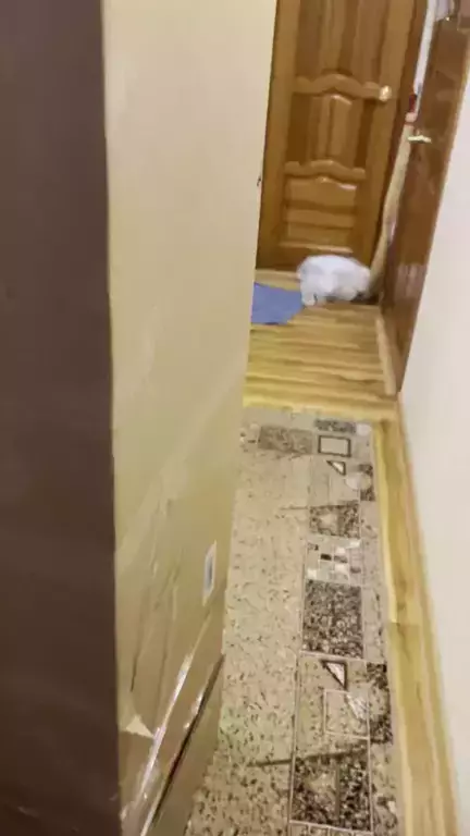 https://media.apltcdn.com/media_files/67d7/d174/6ed4/f300/010d/d8e9/large.webp?1742197107