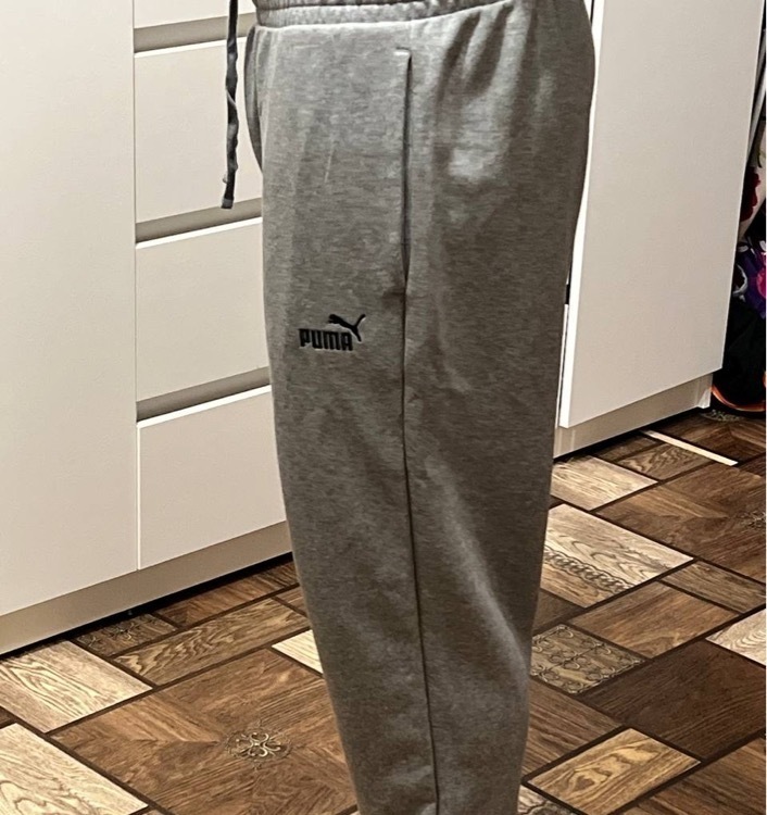 Брюки мужские PUMA Ess No. 1 Logo, отзывы покупателей, фото 1