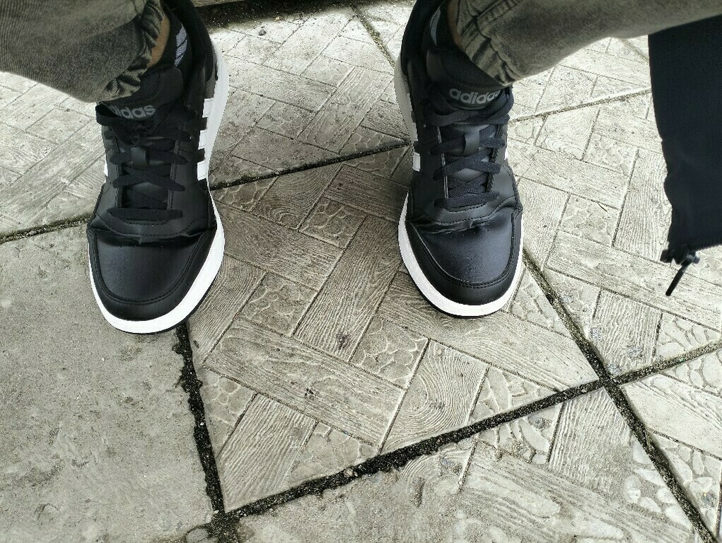 Кеды мужские adidas Hoops 3.0, отзывы покупателей, фото 3