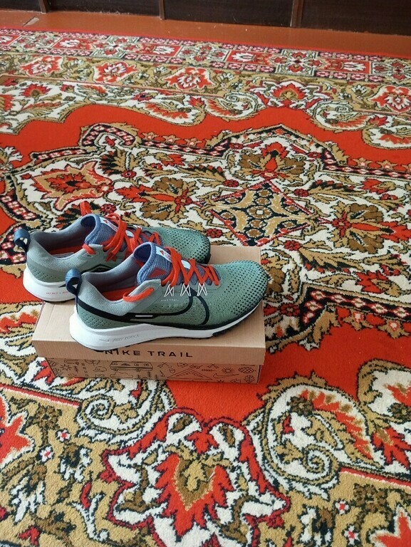 Кроссовки мужские Nike React Pegasus Trail 4, отзывы покупателей, фото 1