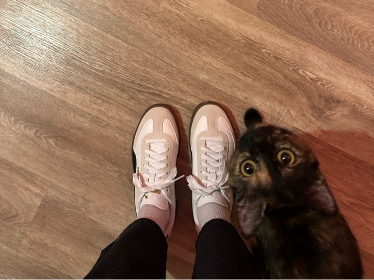 Кеды женские PUMA Club II Era, отзывы покупателей, фото 4
