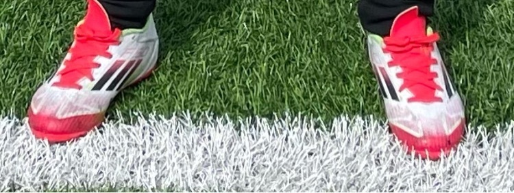 Бутсы мужские adidas F50 League Fg/Mg, отзывы покупателей, фото 1
