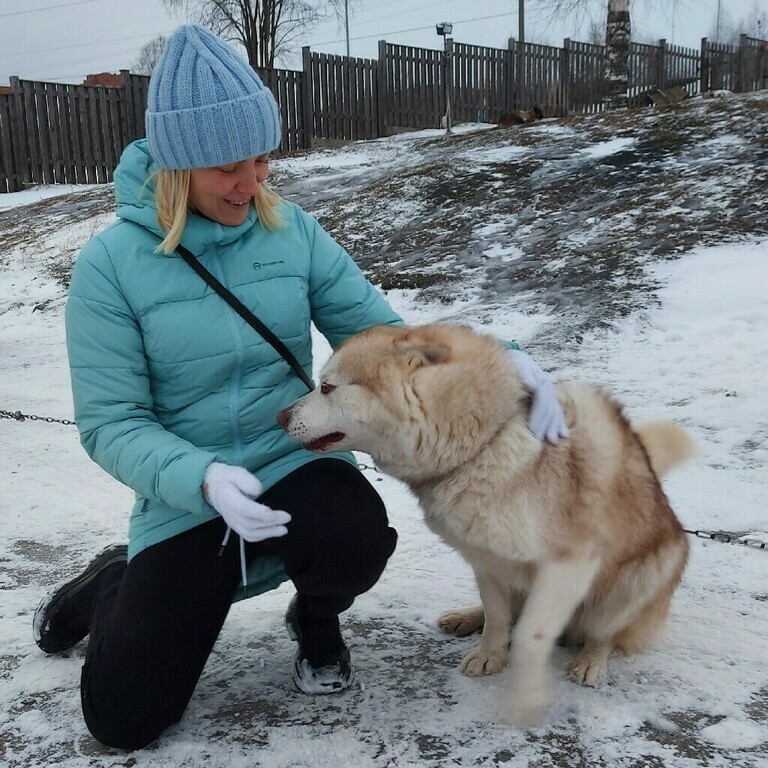 undefined, отзывы покупателей, фото 1