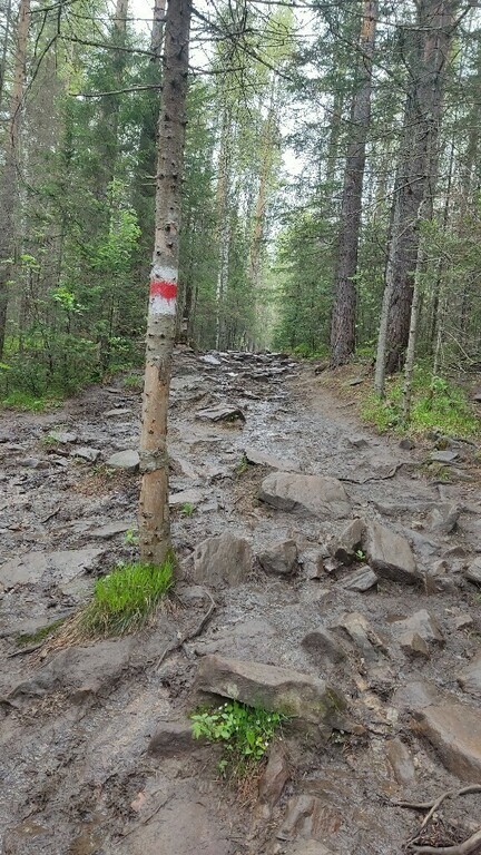 undefined, отзывы покупателей, фото 2