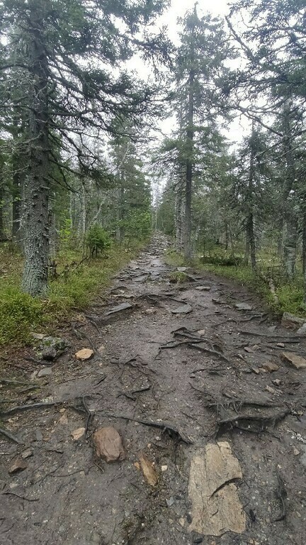 undefined, отзывы покупателей, фото 3